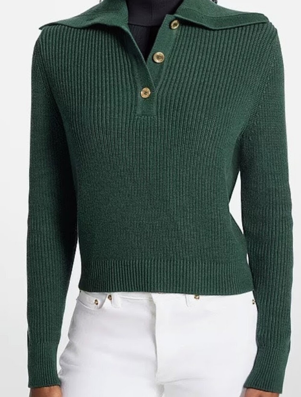 Michael Kors Men's Forest Green V-Neck Polo Knit Sweater